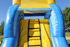 14 Ft Water Slide